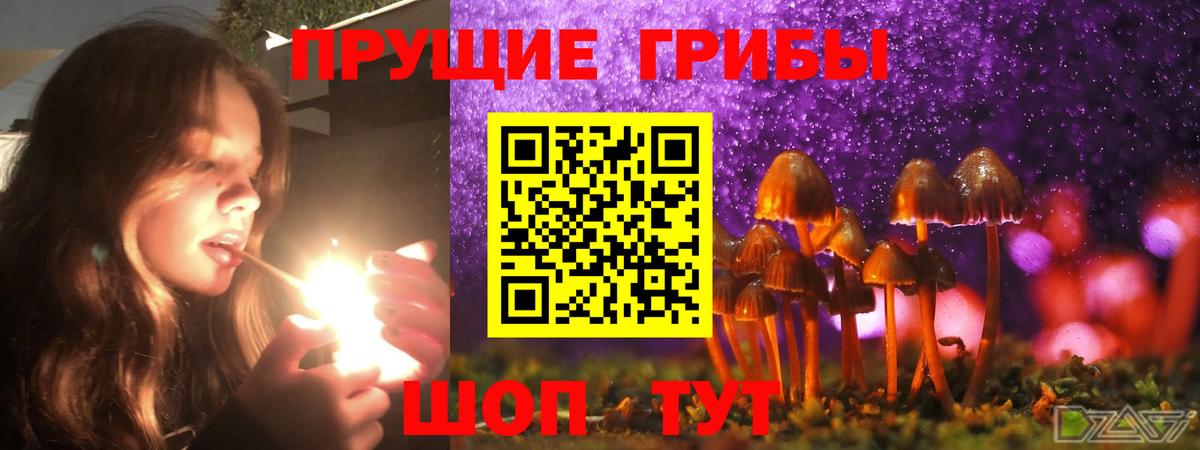 Зеленогорск  Галлюциногенные грибы мицелий  Вход с VPN 